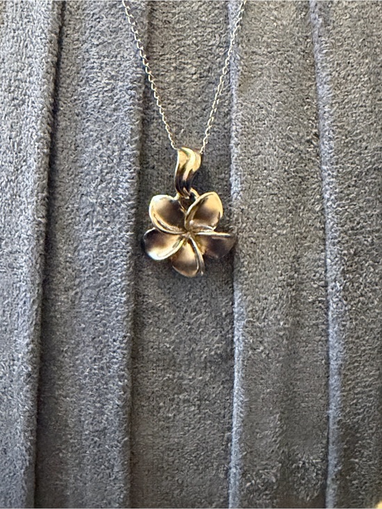 Jewelry - Na Hoku 14k pedant